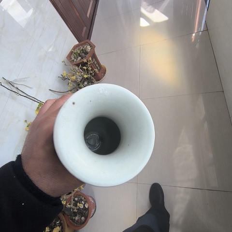 古玩陶瓷青花冰梅圖觀音瓶拍賣,當前價格2800元