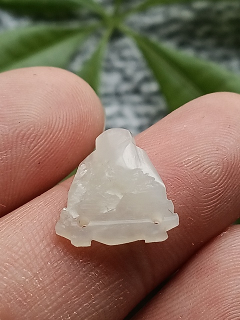 古玩玉器(一口價放漏)超白清代和田玉雕“壽星帽花”拍賣,當前價格500元
