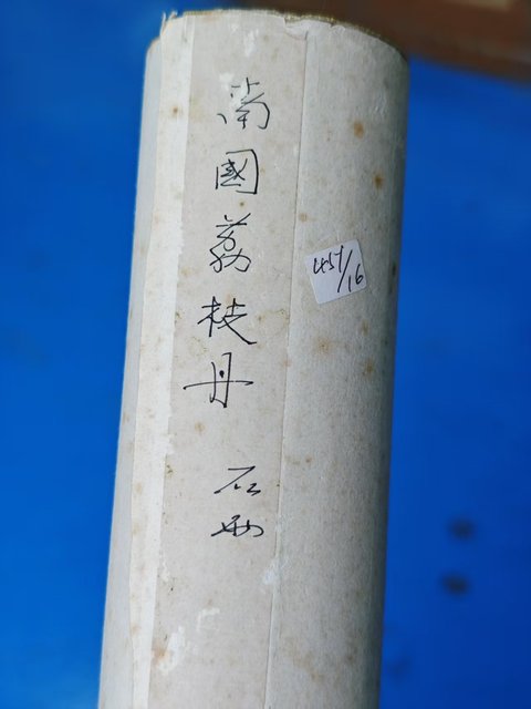 古玩字畫中國國畫院副院長國家一級美術(shù)師石雨荔枝圖拍賣，當(dāng)前價格699元