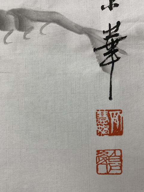 古玩字畫白石孫女齊慧娟 墨蝦圖拍賣,當(dāng)前價(jià)格5888元