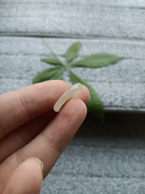 古玩玉器（放漏）清代和田白玉雕“素紋環”自己編的拍賣，當前價格1300元