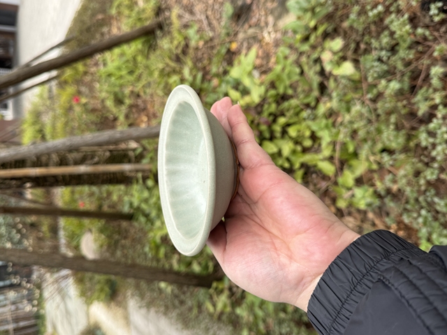 古玩陶瓷宋元·龍泉青釉菊瓣紋折沿洗拍賣,當(dāng)前價(jià)格9999元