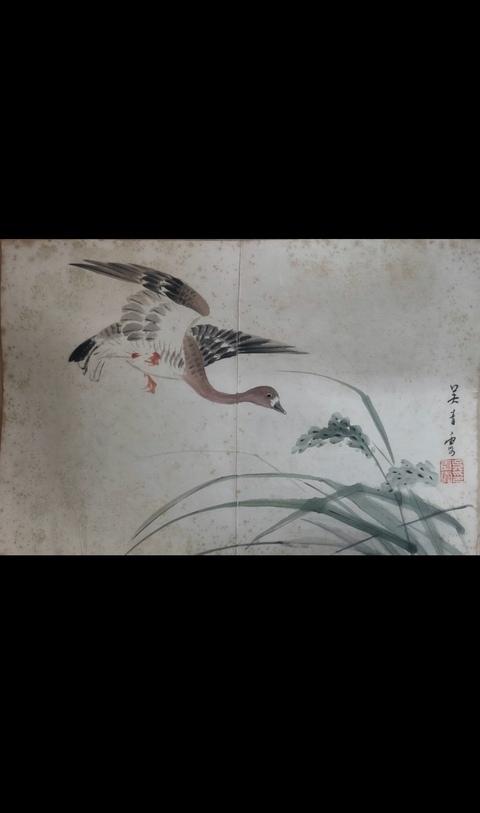 古玩字畫已故海派大師西泠印社顧問吳青霞寫意蘆雁圖拍賣，當前價格20000元