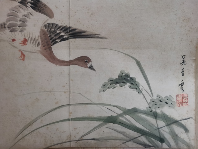 古玩字畫已故海派大師西泠印社顧問吳青霞寫意蘆雁圖拍賣，當前價格20000元