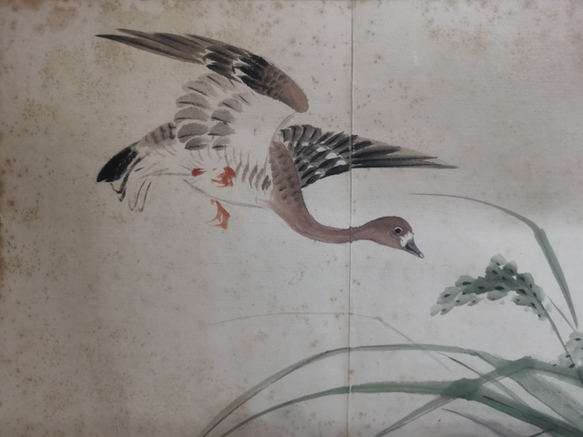 古玩字畫已故海派大師西泠印社顧問吳青霞寫意蘆雁圖拍賣，當前價格20000元