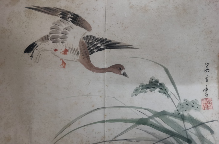 古玩字畫已故海派大師西泠印社顧問吳青霞寫意蘆雁圖拍賣，當前價格20000元