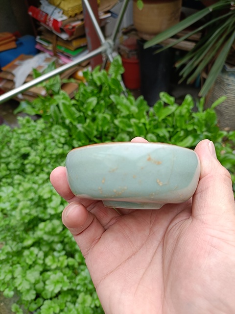 古玩陶瓷館藏級(jí)南宋龍泉官窯青瓷紫口鐵胎直壁盞拍賣，當(dāng)前價(jià)格8800元