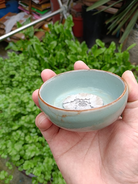 古玩陶瓷館藏級(jí)南宋龍泉官窯青瓷紫口鐵胎直壁盞拍賣，當(dāng)前價(jià)格8800元