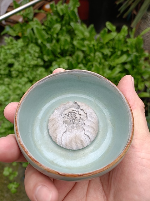 古玩陶瓷館藏級(jí)南宋龍泉官窯青瓷紫口鐵胎直壁盞拍賣，當(dāng)前價(jià)格8800元