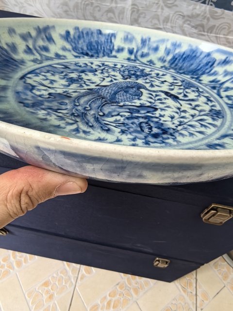 古玩陶瓷明中·青花花鳥紋大盤  真品鑒賞圖