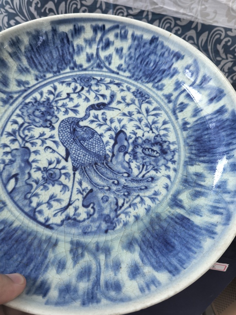 古玩陶瓷明中·青花花鳥紋大盤  真品鑒賞圖