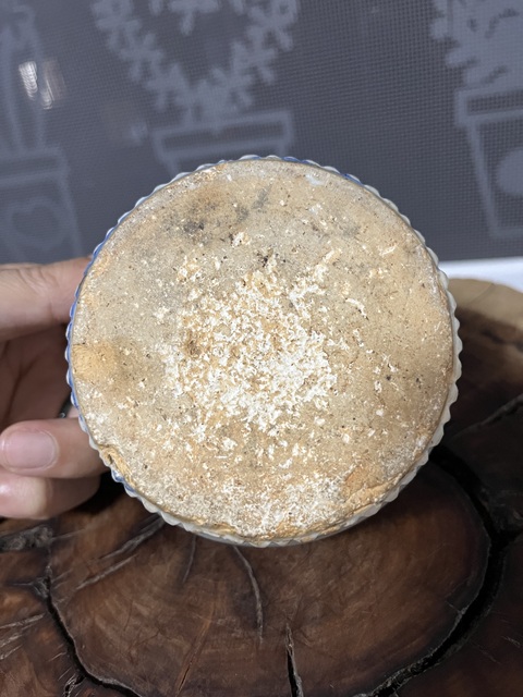 古玩陶瓷水浮司南拍賣,當前價格588元