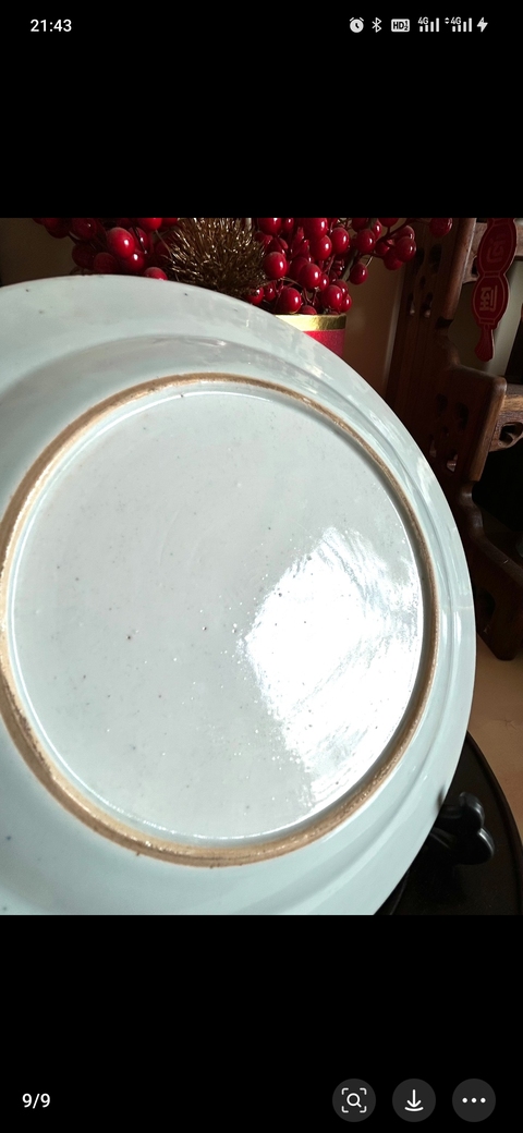古玩陶瓷粉彩錦雞牡丹紋盤真品鑒賞圖