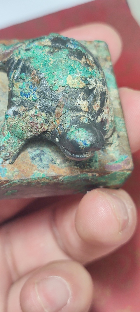 古玩銅器青銅龜型鈕真品鑒賞圖