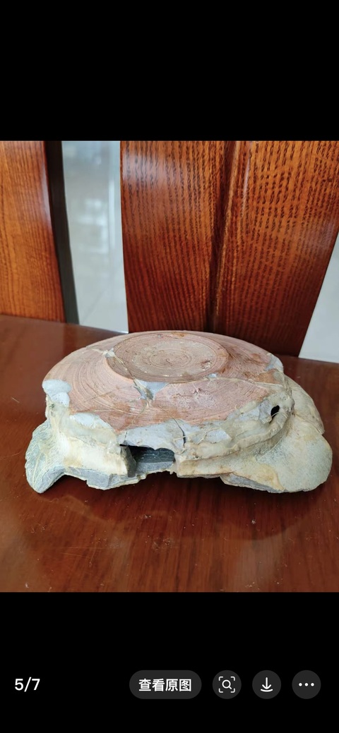 古玩陶瓷汝窯標(biāo)本拍賣，當(dāng)前價(jià)格500000元