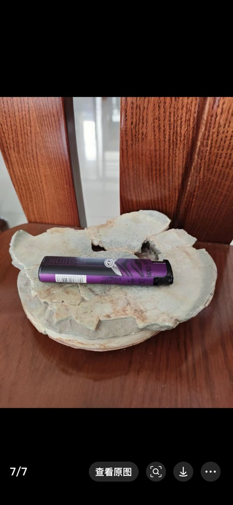 古玩陶瓷汝窯標(biāo)本拍賣，當(dāng)前價(jià)格500000元