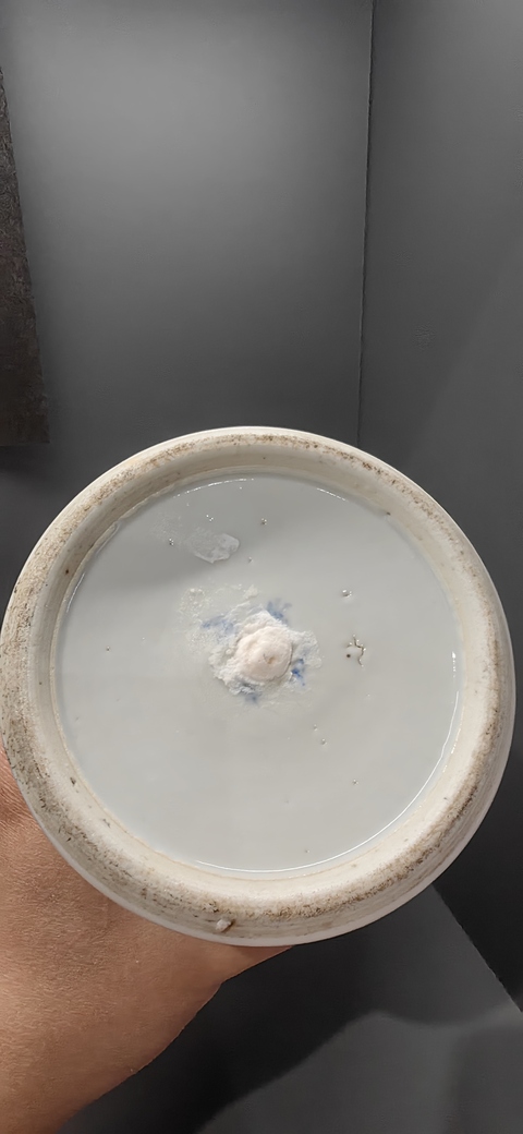 古玩陶瓷咸豐·二龍戲珠紋梅瓶拍賣,當前價格3999元
