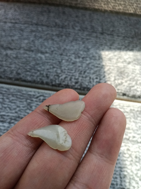 古玩玉器清代和田玉雕“花飾”翅膀拍賣,當前價格350元