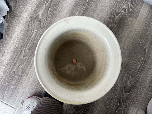 古玩陶瓷晚清細路粉彩花盆拍賣，當前價格2850元