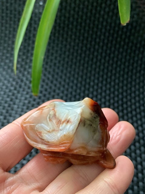 古玩玉器清代翡翠雕白菜“百財(cái)”手把件拍賣，當(dāng)前價(jià)格46000元