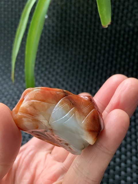 古玩玉器清代翡翠雕白菜“百財(cái)”手把件拍賣，當(dāng)前價(jià)格46000元