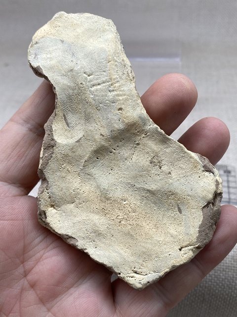 古玩陶瓷宋陶擦擦馬拍賣，當前價格0元