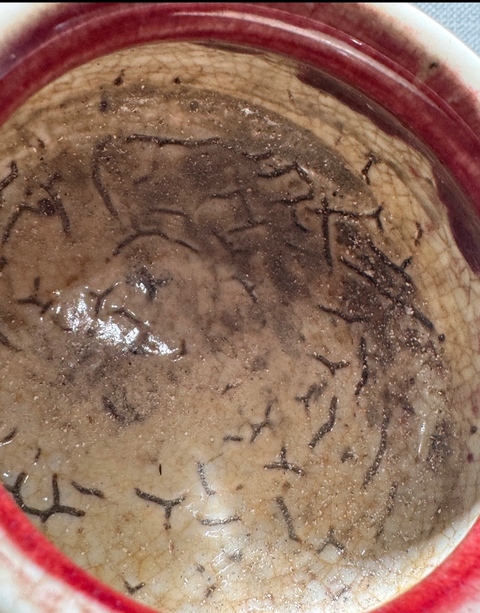 古玩陶瓷紅釉水呈真品鑒賞圖
