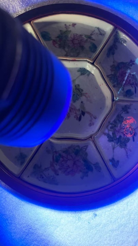古玩陶瓷粉彩花鳥九子攢盤真品鑒賞圖