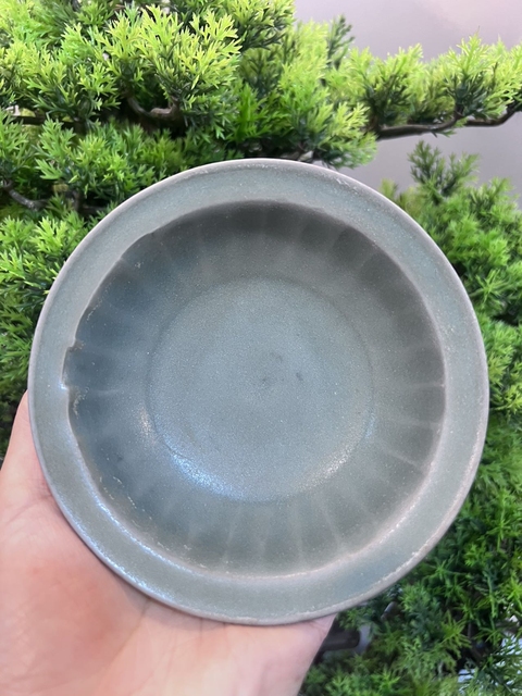 古玩陶瓷龍泉窯折沿菊瓣洗真品鑒賞圖