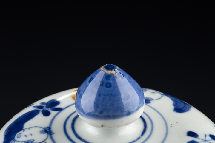 古玩陶瓷清康熙·青花四妃十六子紋將軍罐
真品鑒賞圖