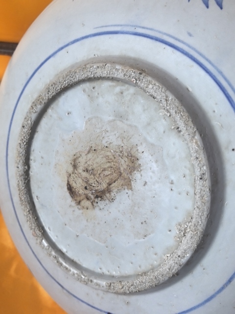 古玩陶瓷青花鳳穿牡丹圖盤真品鑒賞圖