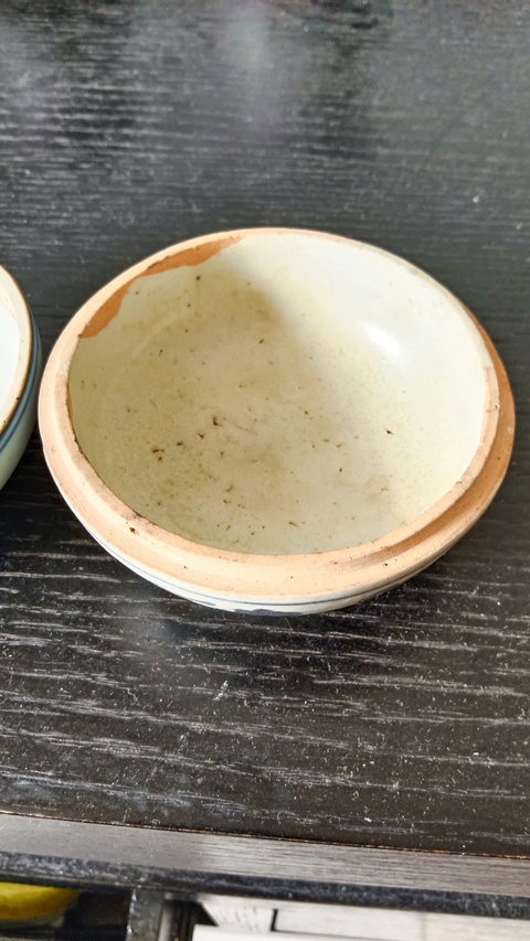 古玩陶瓷鳳紋蓋盒真品鑒賞圖