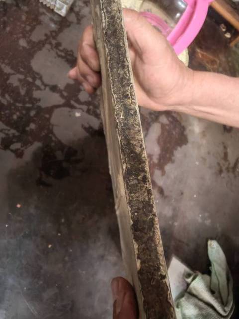 古玩陶瓷民國富貴白頭粉彩瓷板真品鑒賞圖