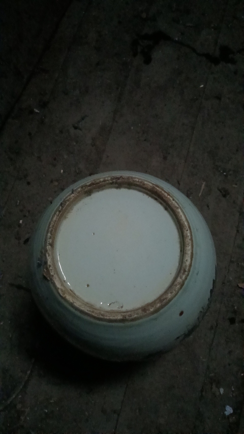 古玩陶瓷民國 彩繪花鳥紋罐真品鑒賞圖