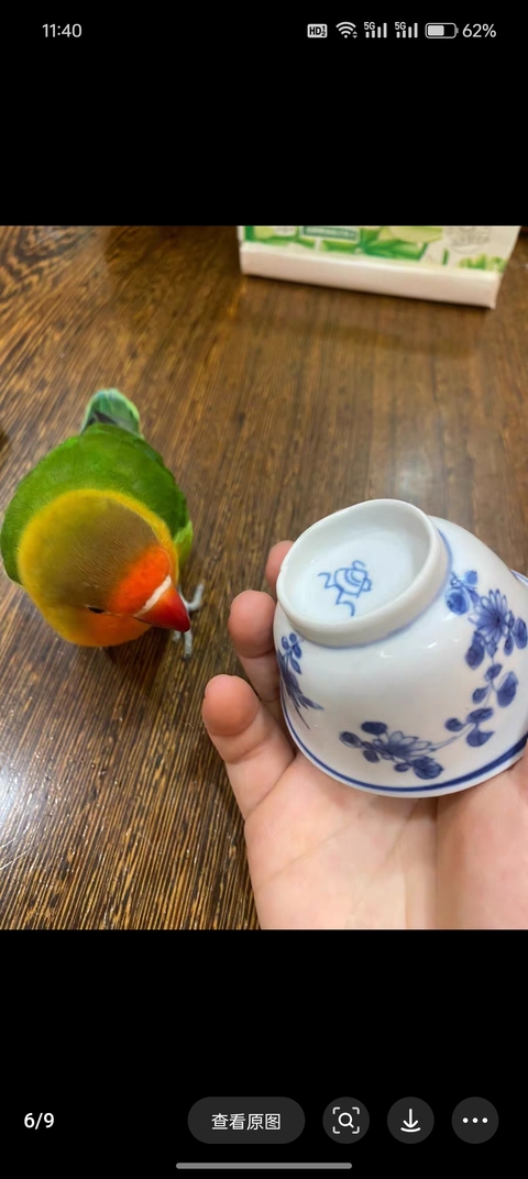 古玩陶瓷青花杯真品鑒賞圖