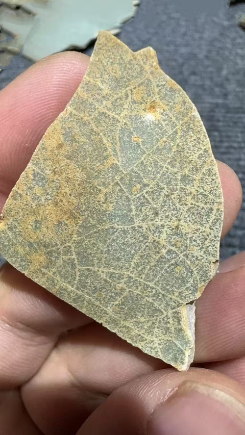古玩陶瓷汝窯標本真品鑒賞圖