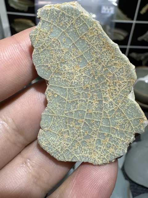 古玩陶瓷龍泉官標本拍賣，當前價格6000元