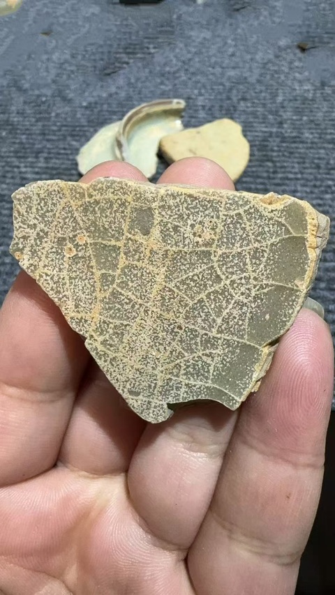 古玩陶瓷龍泉官標本拍賣，當前價格6000元