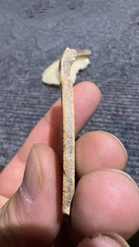 古玩陶瓷龍泉官標本拍賣，當前價格6000元