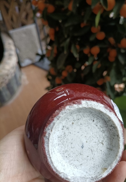 古玩陶瓷窯變紅釉荸薺瓶真品鑒賞圖