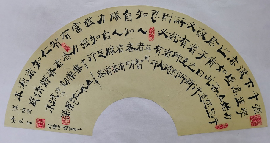古玩字畫中書協理事原中央電視臺副臺長洪民生書法扇面拍賣,當前價格3000元