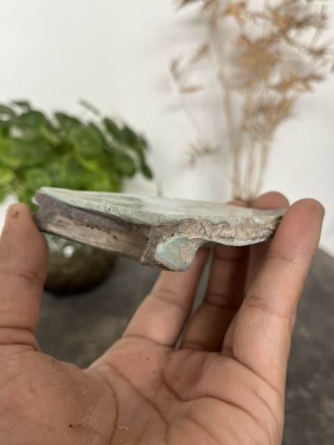 古玩陶瓷宋金.鈞窯標本  (縱有家財萬貫，不如鈞瓷一片)拍賣，當前價格220元