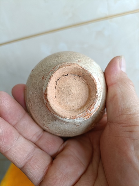 古玩陶瓷元龍泉蓋罐真品鑒賞圖