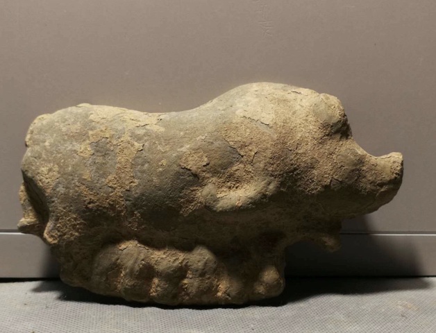古玩陶瓷豬圈真品鑒賞圖
