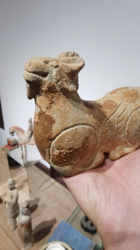 古玩陶瓷洪州窯瓷羊真品鑒賞圖
