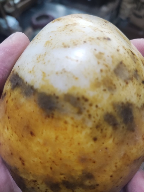 古玩玉器和田玉籽料龍馬把件拍賣,當(dāng)前價(jià)格2100元