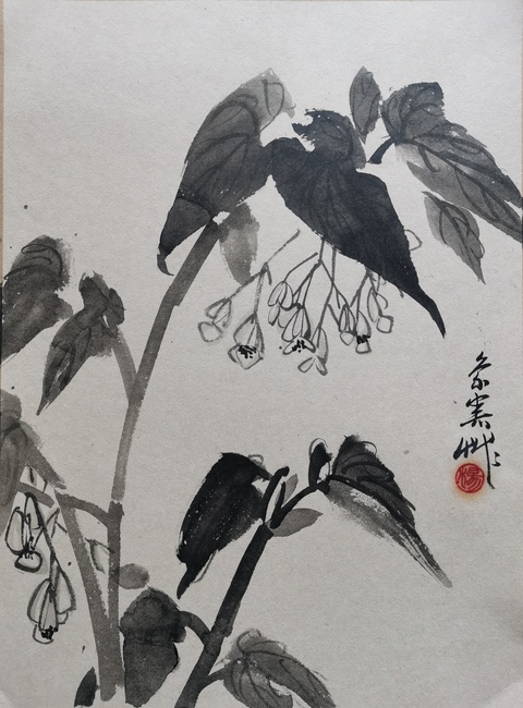 古玩字畫已故當(dāng)代著名畫家楊象憲花卉拍賣,當(dāng)前價(jià)格899元