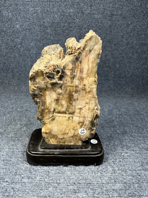 古玩雜項木化石真品鑒賞圖