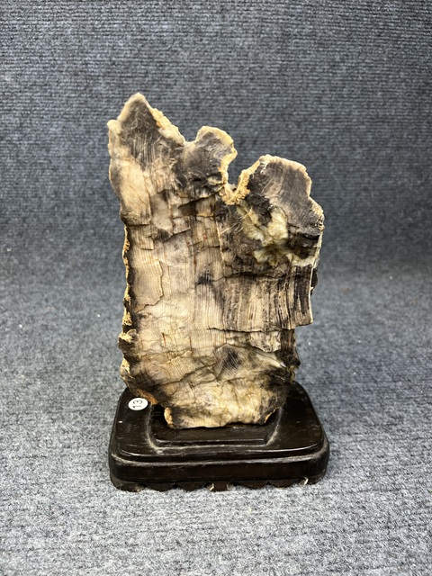 古玩雜項木化石真品鑒賞圖
