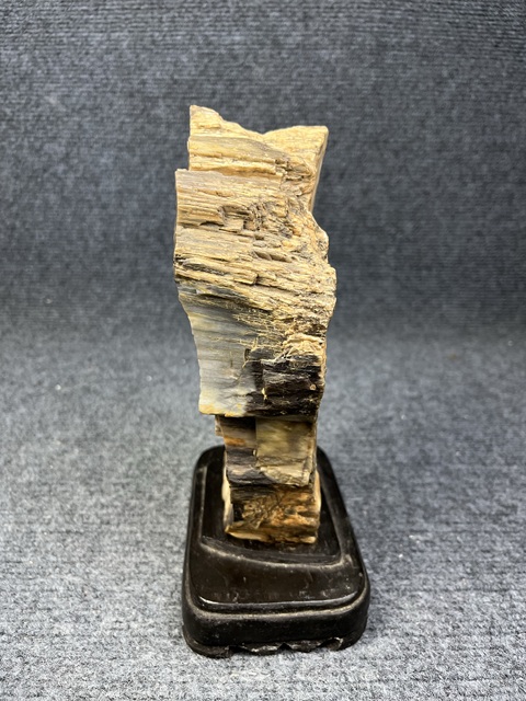 古玩雜項木化石真品鑒賞圖